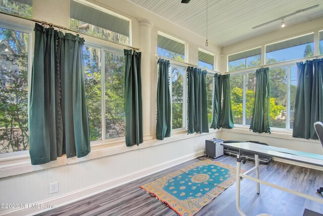 sunroom / solarium with track lighting