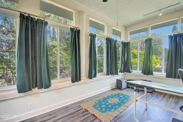 sunroom featuring rail lighting