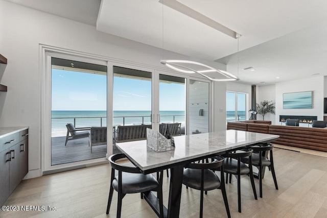 dining space with light hardwood / wood-style floors