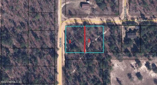 6185 Cornell Rd, Keystone Heights FL, 32656 land for sale