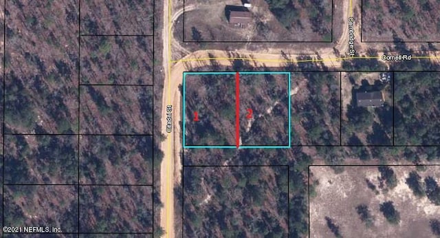 6185 Cornell Rd, Keystone Heights, FL 32656 - photo 1