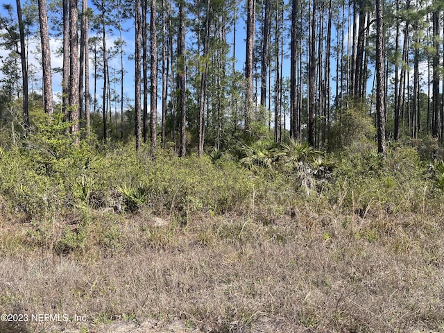 00 Hamrick St, Interlachen FL, 32148 land for sale