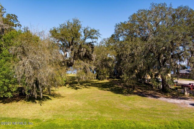 8103 Moore Ave, Jacksonville, FL 32208 - photo 7