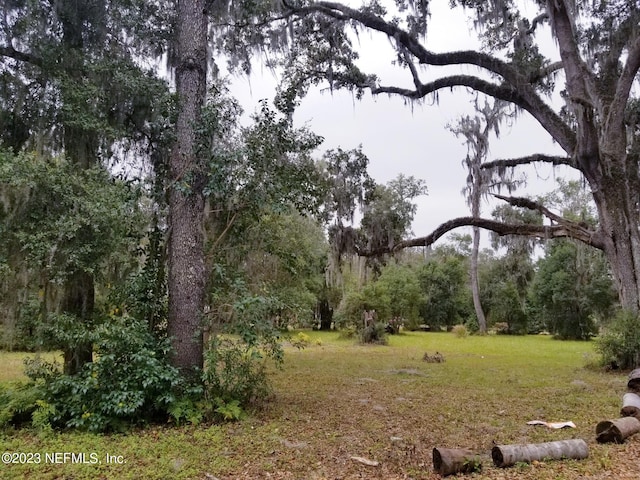 Listing photo 3 for LOT89 Huntington Rd, Crescent City FL 32112