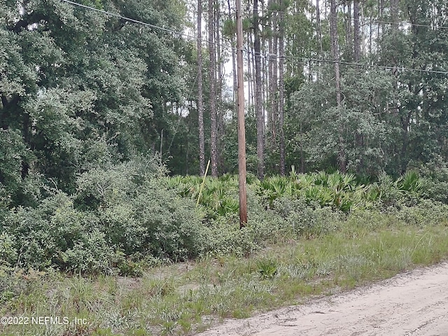 25 Hudson St, Interlachen FL, 32148 land for sale