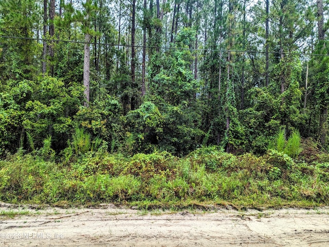 4436 Lori Loop Rd, Keystone Heights, FL 32656 - photo 3