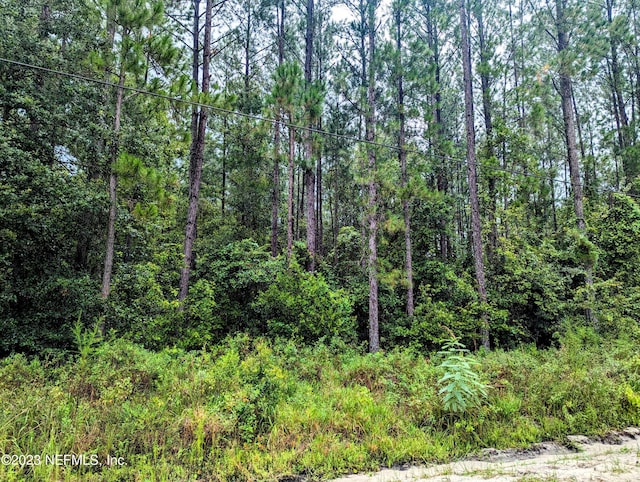 4436 Lori Loop Rd, Keystone Heights, FL 32656 - photo 1