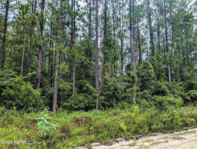 4436 Lori Loop Rd, Keystone Heights, FL 32656 - photo 2