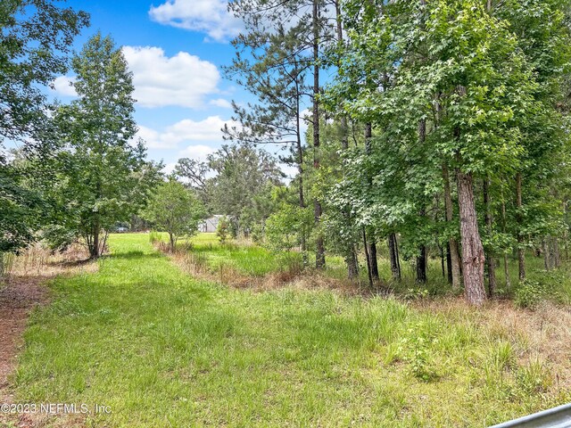 0 Black Creek Dr, Middleburg, FL 32068 - photo 13