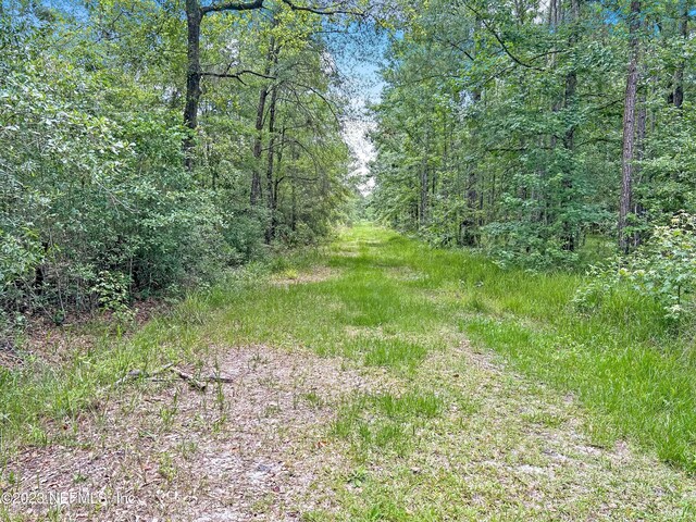 0 Black Creek Dr, Middleburg, FL 32068 - photo 15