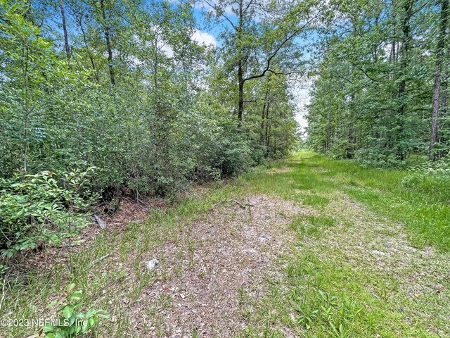 0 Black Creek Dr, Middleburg, FL 32068 - photo 16
