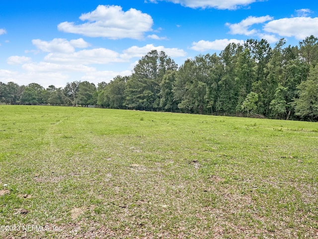 0 Black Creek Dr, Middleburg, FL 32068 - photo 23