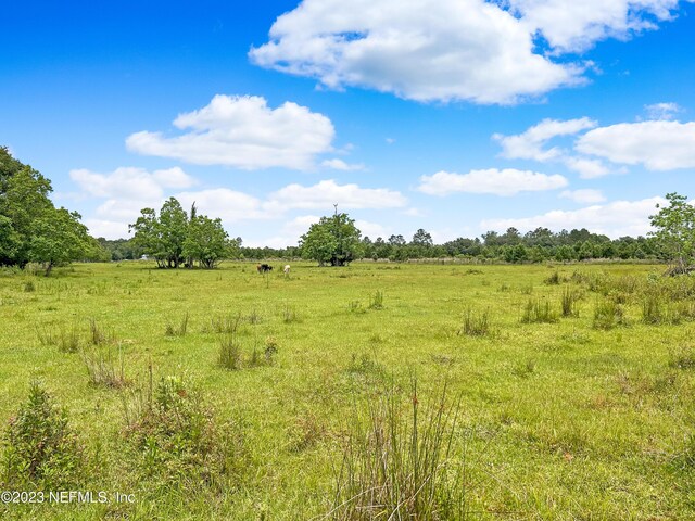 0 Black Creek Dr, Middleburg, FL 32068 - photo 33