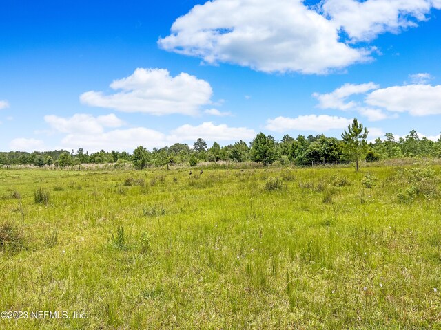 0 Black Creek Dr, Middleburg, FL 32068 - photo 34