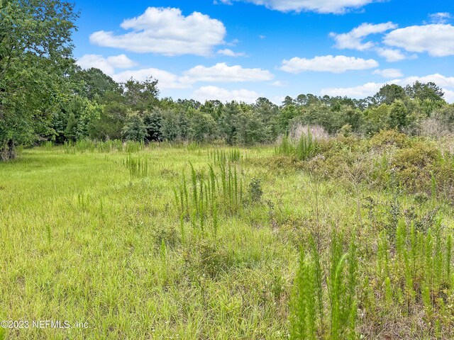 0 Black Creek Dr, Middleburg, FL 32068 - photo 8