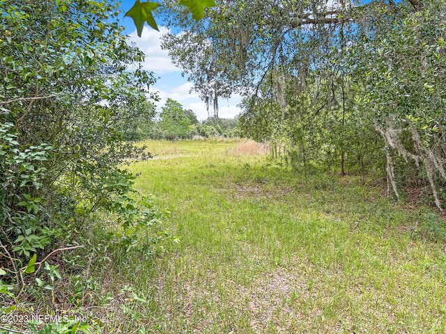0 Black Creek Dr, Middleburg, FL 32068 - photo 4