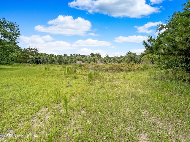 0 Black Creek Dr, Middleburg, FL 32068 - photo 6