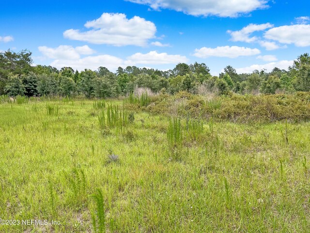0 Black Creek Dr, Middleburg, FL 32068 - photo 7