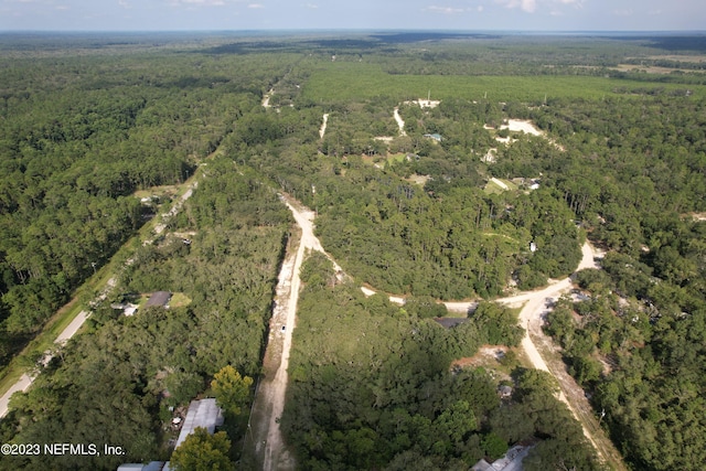 Listing photo 3 for 0 Tallpine Trl, Satsuma FL 32189