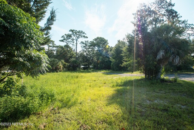 215 N Lawrence Blvd, Keystone Heights, FL 32656 - photo 9