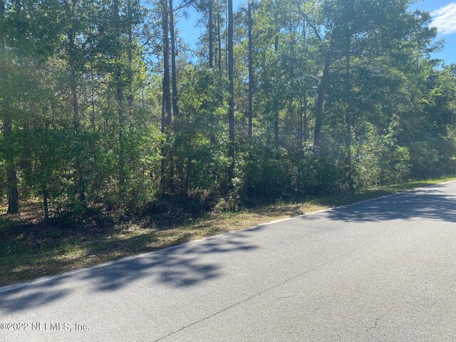 XXX Lancaster St, Interlachen, FL 32148 - photo 1