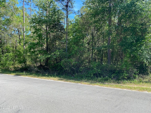 Listing photo 3 for XXX Lancaster St, Interlachen FL 32148