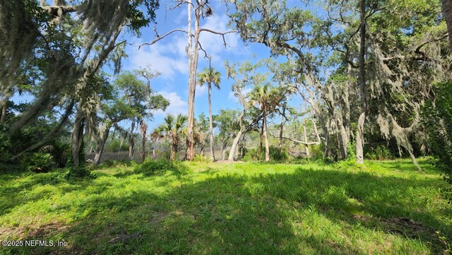 1765 Harrington Park Dr, Jacksonville, FL 32225 - photo 7