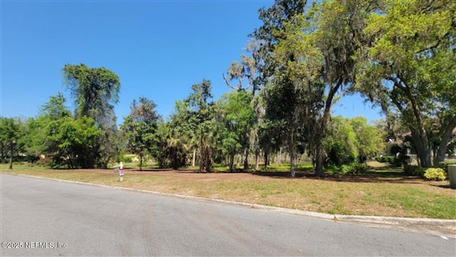 1765 Harrington Park Dr, Jacksonville, FL 32225 - photo 10