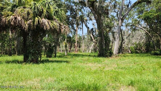 1765 Harrington Park Dr, Jacksonville, FL 32225 - photo 12