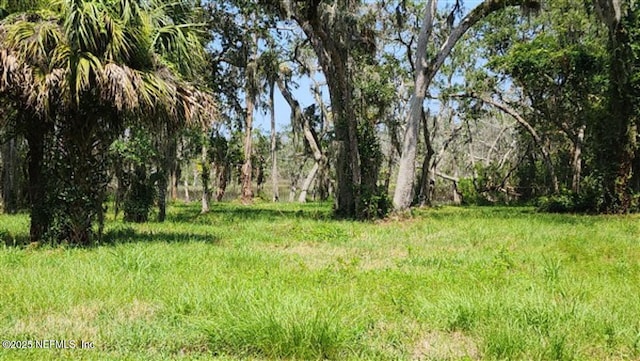 1765 Harrington Park Dr, Jacksonville, FL 32225 - photo 13