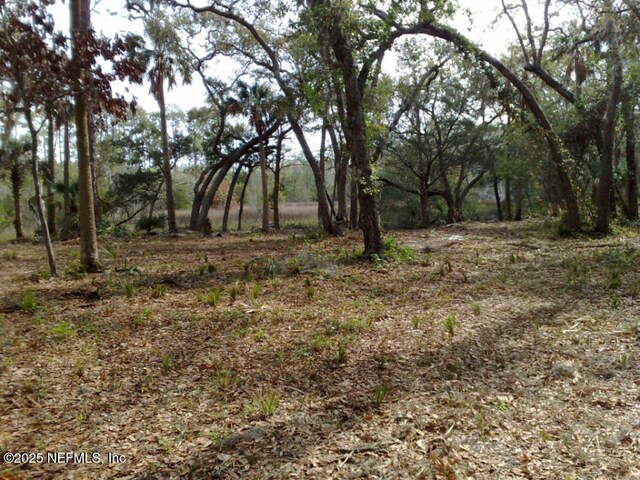 1765 Harrington Park Dr, Jacksonville, FL 32225 - photo 14