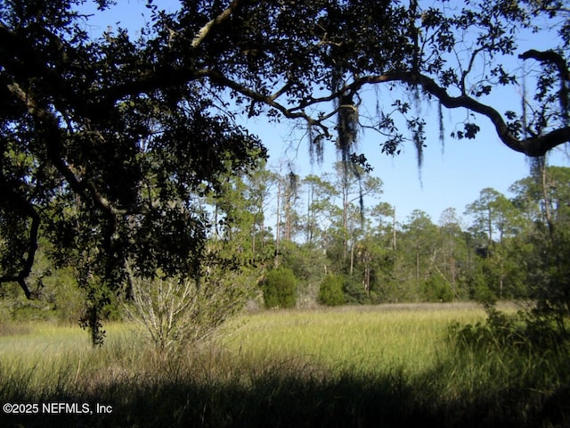 1765 Harrington Park Dr, Jacksonville, FL 32225 - photo 15
