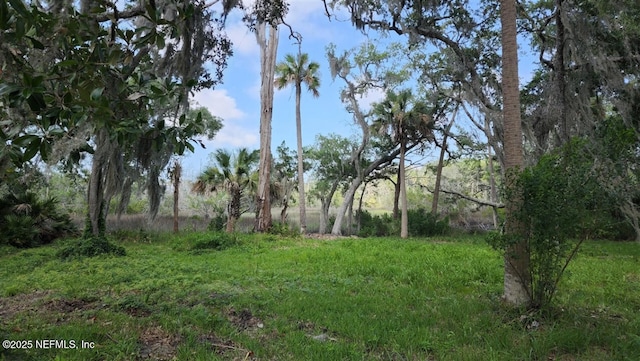 1765 Harrington Park Dr, Jacksonville, FL 32225 - photo 17