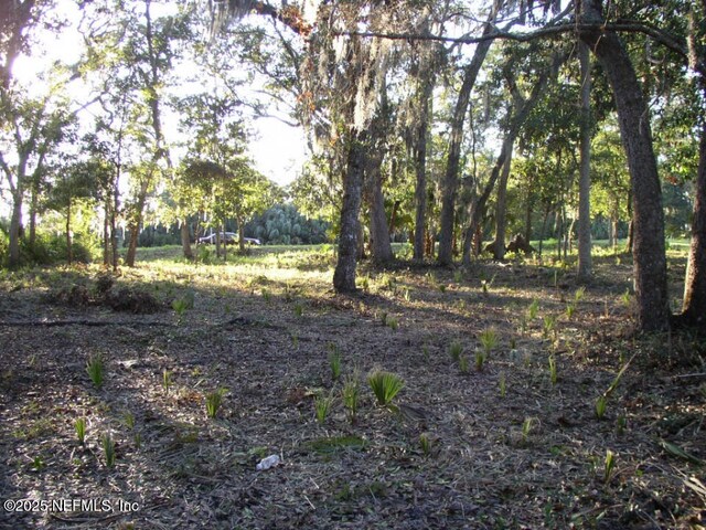 1765 Harrington Park Dr, Jacksonville, FL 32225 - photo 18
