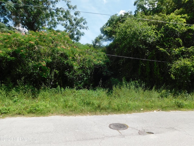 0 May St SE, Live Oak FL, 32064 land for sale