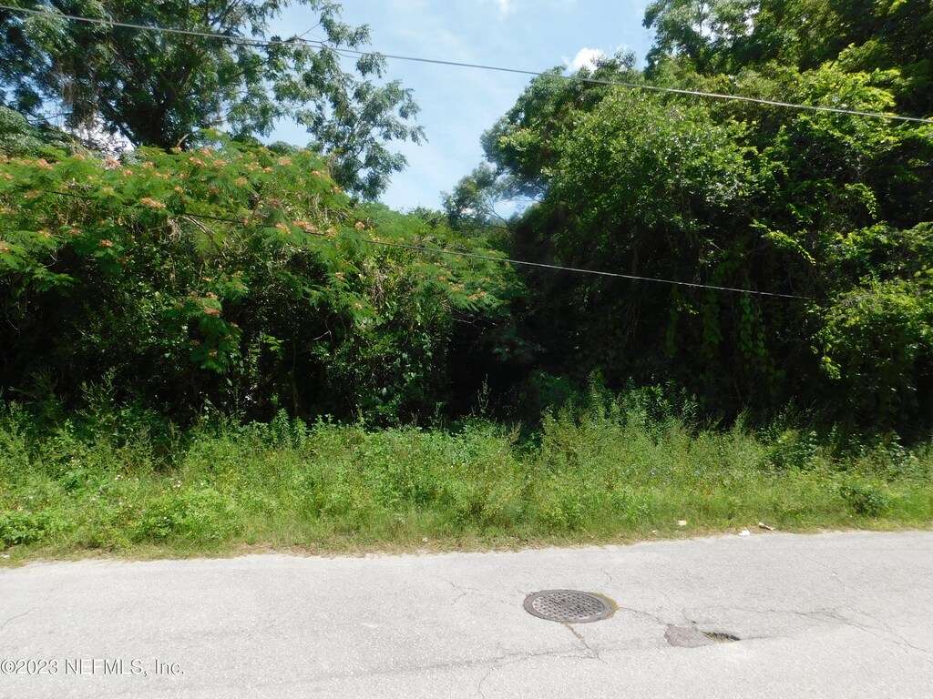 0 May St SE, Live Oak, FL 32064 - photo 1
