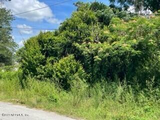 0 May St SE, Live Oak, FL 32064 - photo 3