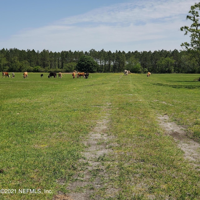 Listing photo 3 for 0 Parrish Cemetery Rd, Jacksonville FL 32221