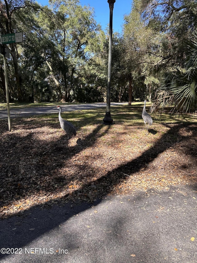 Listing photo 3 for 00-11 SE 265th Court Rd, Umatilla FL 32784