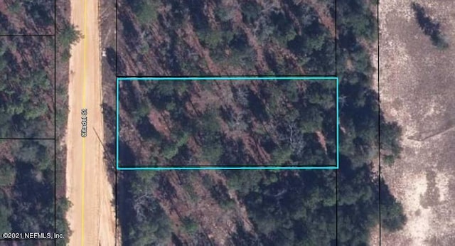 7269 Citadel St, Keystone Heights, FL 32656 - photo 1