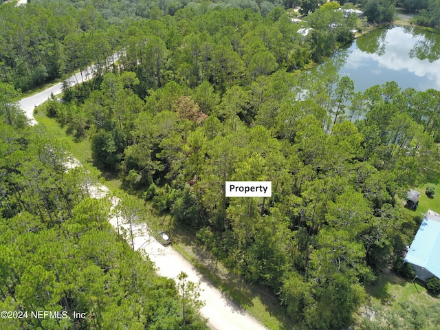 Listing photo 3 for 0 Boles Ave, Interlachen FL 32148