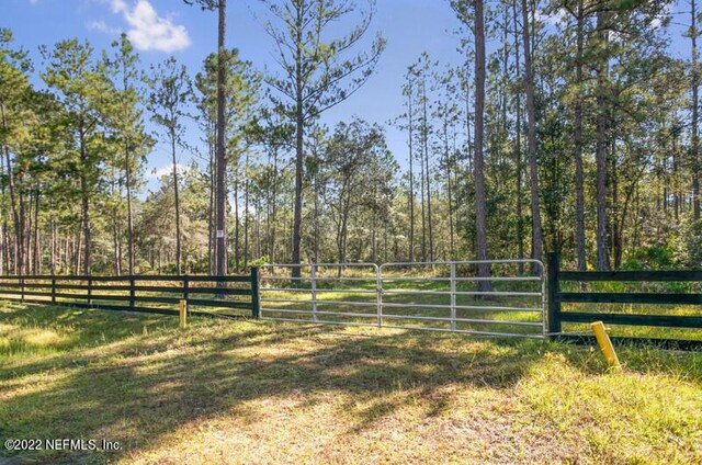 0 Foxtail Ave, Middleburg FL, 32068 land for sale