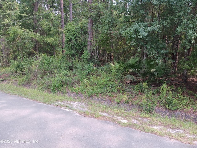 Listing photo 2 for 0 Minnesota Ave, Jacksonville FL 32234