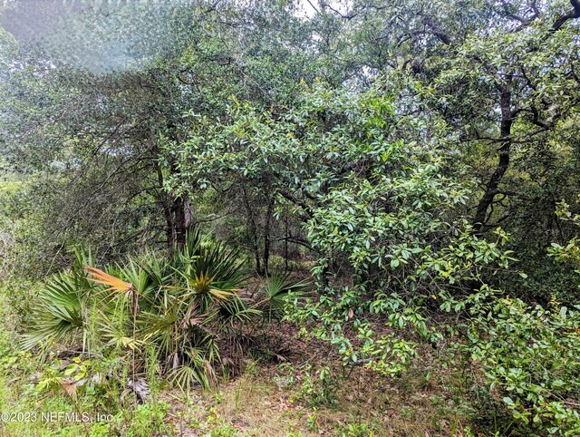5572 Deerlodge Ct, Keystone Heights, FL 32656 - photo 4