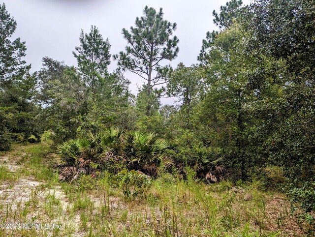 5572 Deerlodge Ct, Keystone Heights, FL 32656 - photo 6