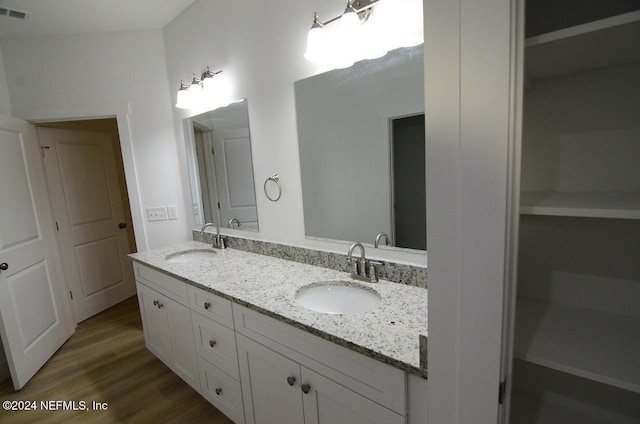 bathroom with hardwood / wood-style flooring and vanity