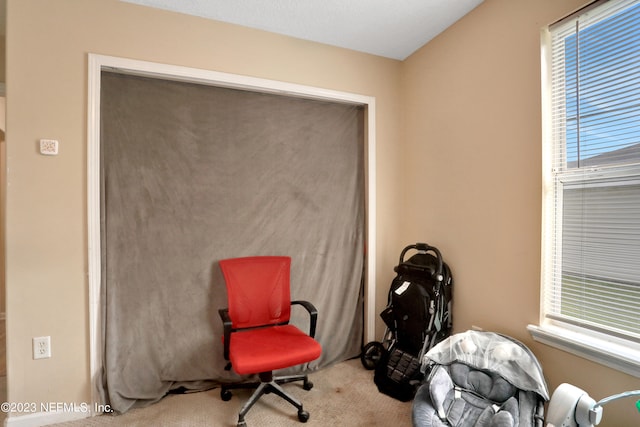 sitting room featuring carpet floors