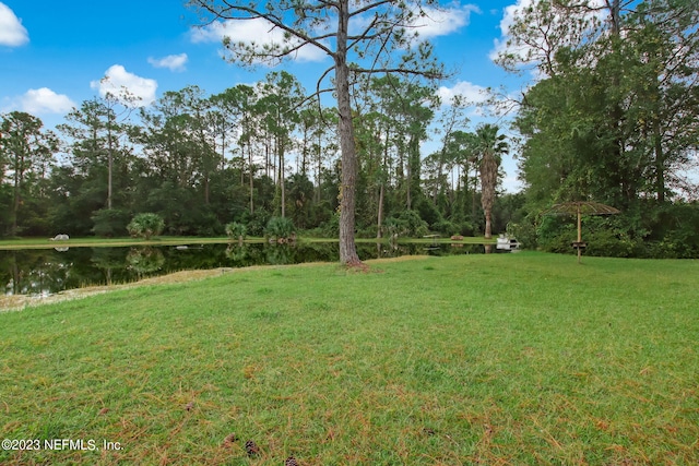 view of yard with a water view