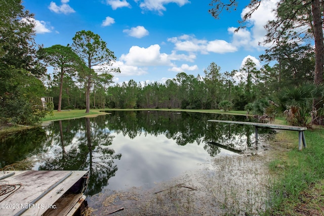 property view of water featuring a boat dock