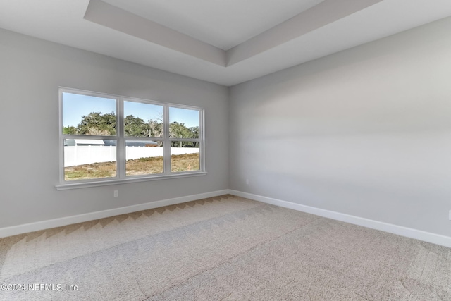 carpeted empty room featuring a raised ceiling